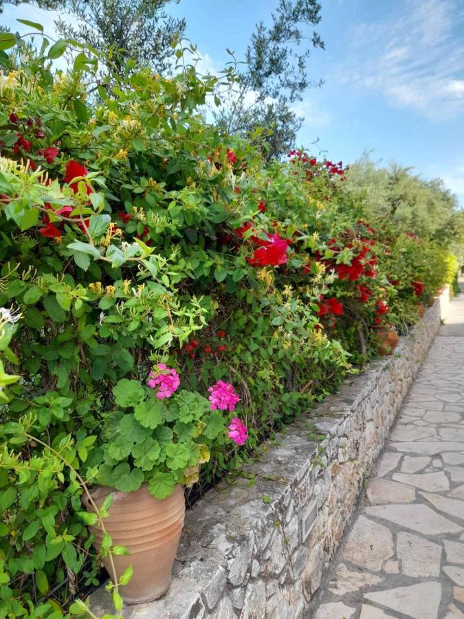 Aphrodite Apartments Каливес Екстериор снимка